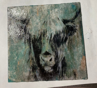 Highland Cow Wall Art-Paint Transfer Picture-Highland "Coo"-Handmade