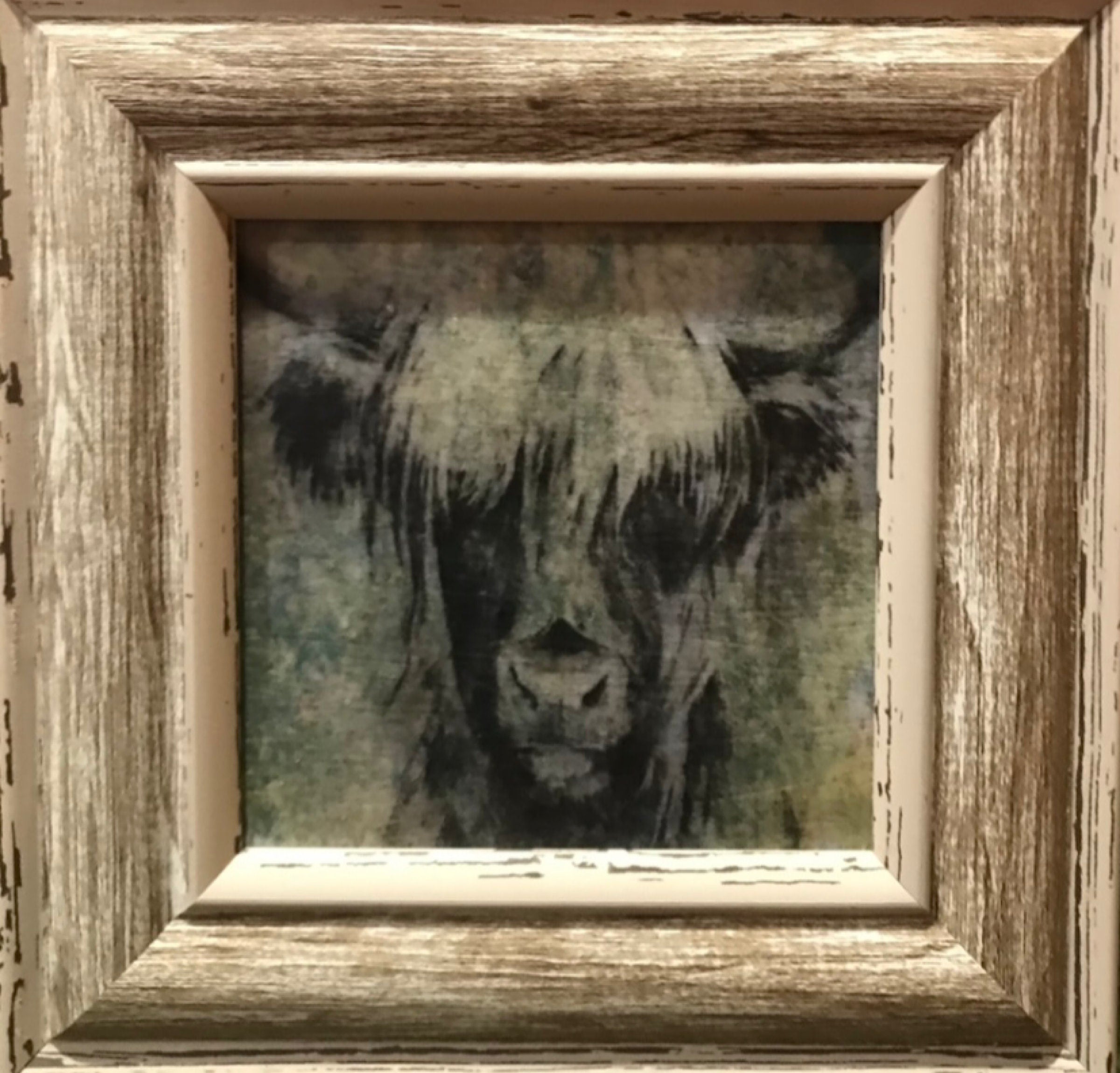 Highland Cow Wall Art-Paint Transfer Picture-Highland 